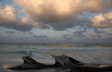 The Caribbean Coast, Mexico