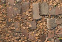 Brick with Leaves