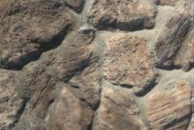 Rock Walll