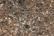 Wood Chips